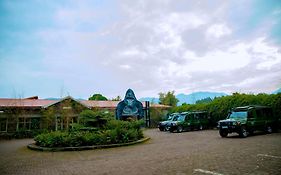 Mountain Gorilla View Lodge